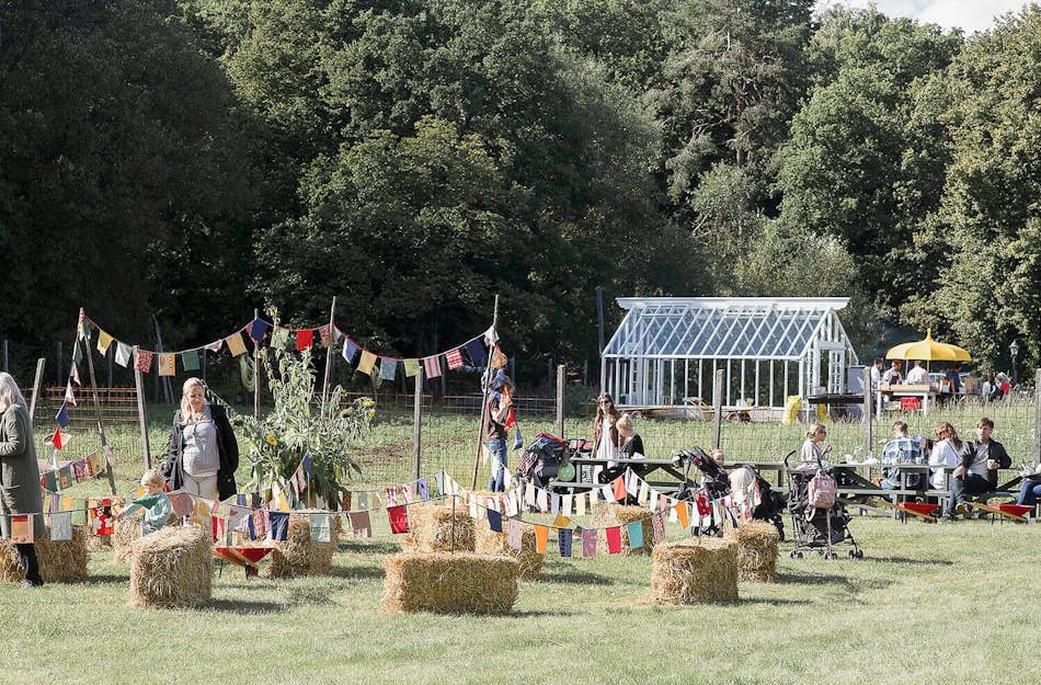 Skördefest: Verborgen oase in Stockholm